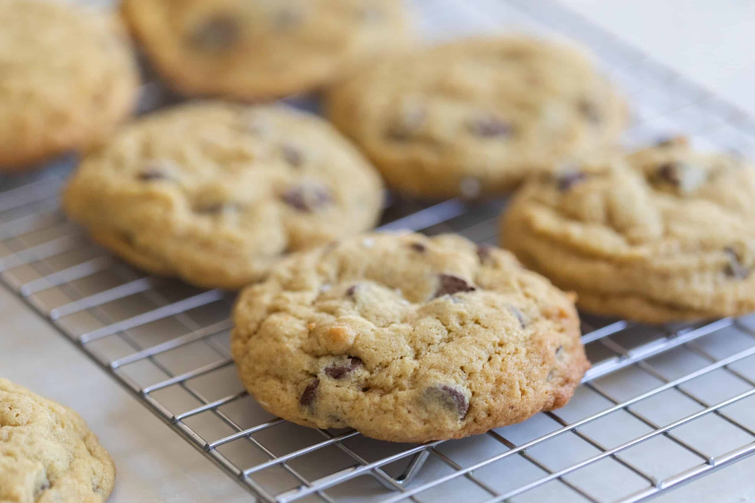 Sourdough chocolate chip cookies